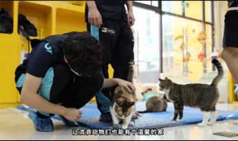 广州冲锋队助力宠物公益，成立冲锋宠物关爱基金