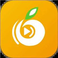 橘子直播app免费下载