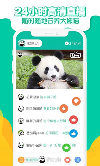 ipanda熊猫频道 可以进行观看大熊猫日常的直播平台
