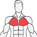 MuscleWiki肌肉百科 帮助我们进行对自身健康管理还有健身的软件
