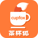 cupfox茶杯狐 影视高清播放